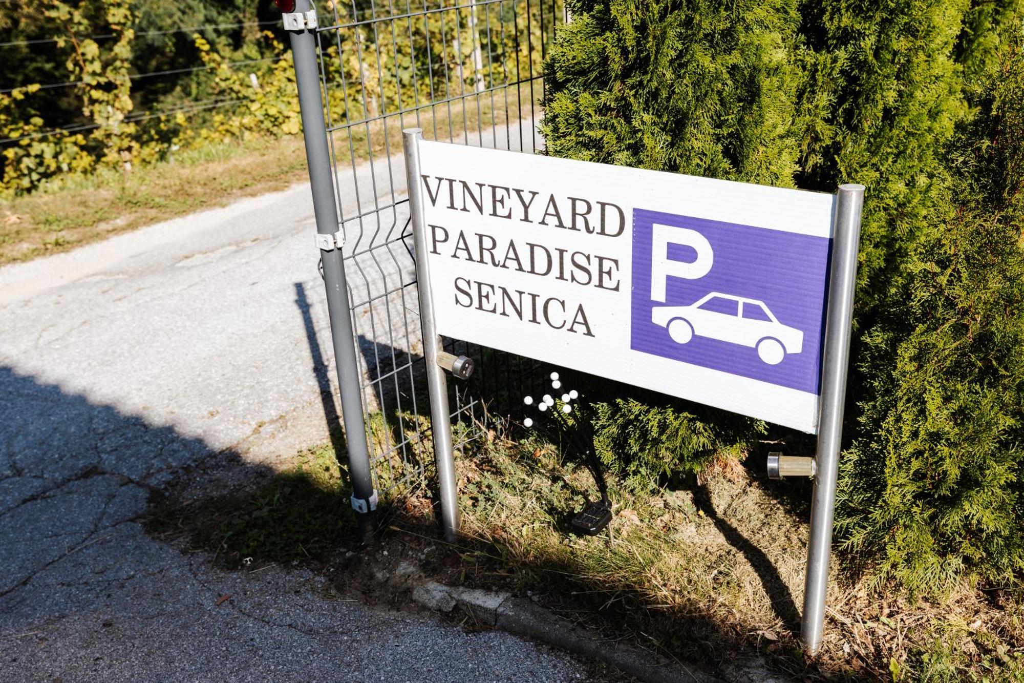 Vineyard Paradise Senica Pensionat Dramlje Eksteriør billede